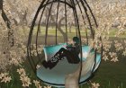 Imprisoned