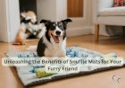 Unleashing the Benefits of Snuffle Mats for Your Furry Friend