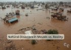 Natural Disasters in Movies vs. Reality
