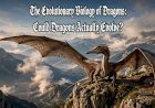 The Evolutionary Biology of Dragons: Could Dragons Actually Evolve?