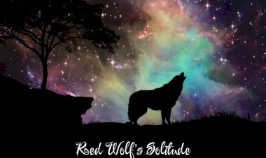 Red Wolf's Solitude