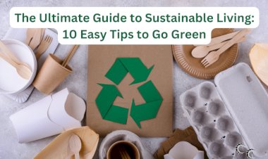 The Ultimate Guide to Sustainable Living: 10 Easy Tips to Go Green