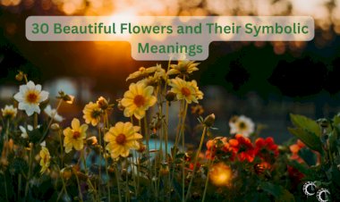 30 Beautiful Flowers and Their Symbolic Meanings