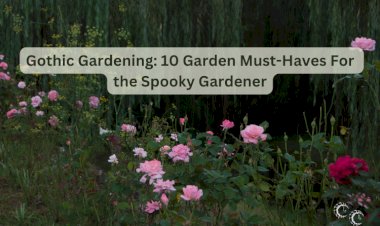 Gothic Gardening: 10 Garden Must-Haves For the Spooky Gardener