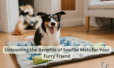 Unleashing the Benefits of Snuffle Mats for Your Furry Friend