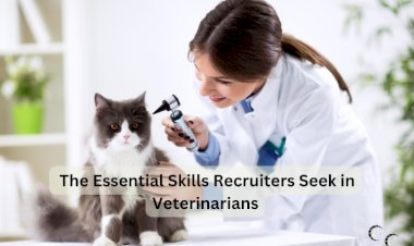 The Essential Skills Recruiters Seek in Veterinarians