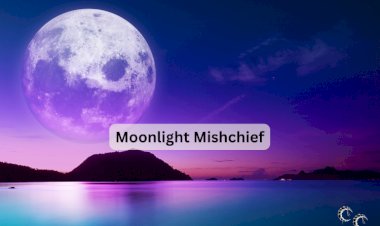 Moonlight Mischief