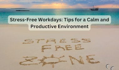 Stress-Free Workdays: Tips for a Calm and Productive Environment