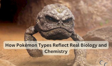 How Pokémon Types Reflect Real Biology and Chemistry