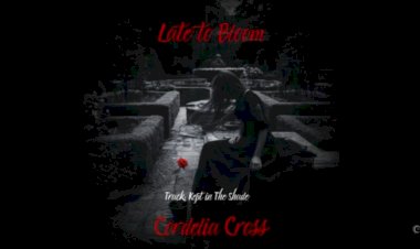 Kept in the Shade Lyrics by Cordelia Cross