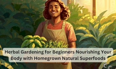 Herbal Gardening for Beginners Nourishing Your Body with Homegrown Natural Superfoods