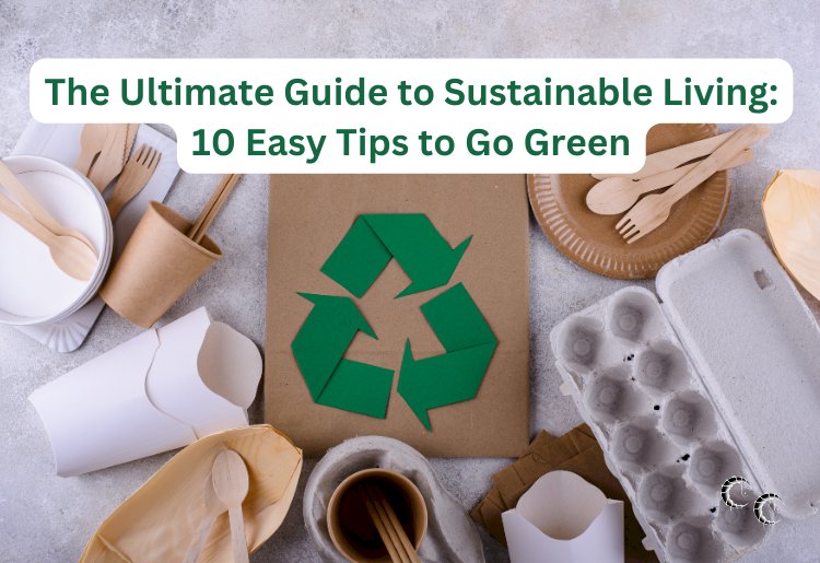 The Ultimate Guide to Sustainable Living: 10 Easy Tips to Go Green