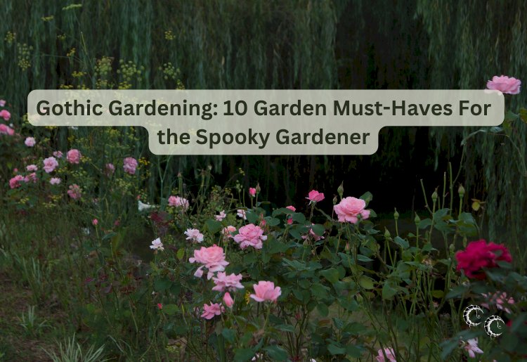 Gothic Gardening: 10 Garden Must-Haves For the Spooky Gardener