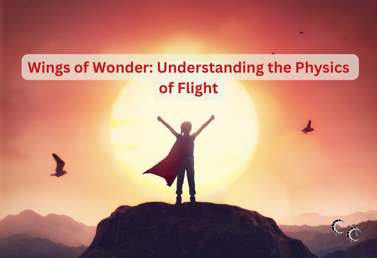 Wings of Wonder: Understanding the Physics of Flight