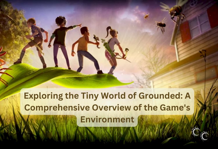 Exploring the Tiny World of Grounded: A Comprehensive Overview of the Game's Environment