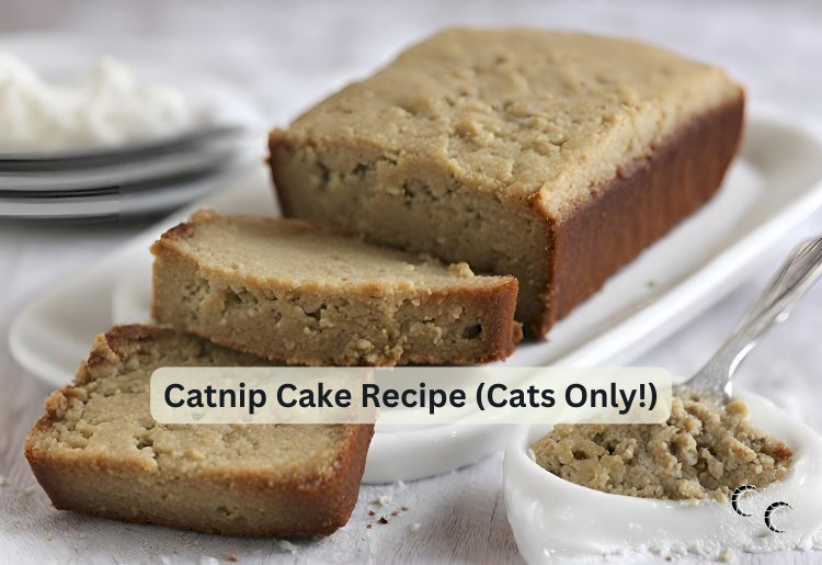 Catnip Cake Recipe (Cats Only!)