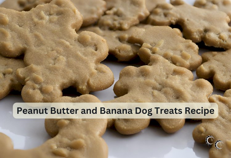 Peanut Butter and Banana Dog Treats Recipe