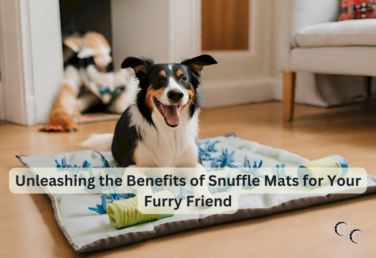 Unleashing the Benefits of Snuffle Mats for Your Furry Friend