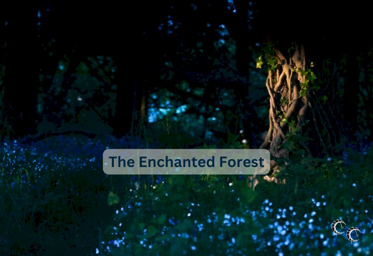 The Enchanted Forest