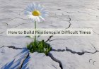 How to Build Resilience in Difficult Times