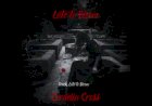 Late to Bloom Lyrics by Cordelia Cross