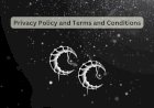 Privacy Policy and Terms of Conditions
