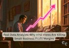 Real Data Analysis: Why Viral Views Are Killing Small Business Profit Margins