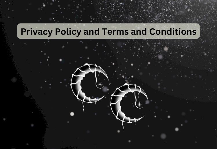 Privacy Policy and Terms of Conditions