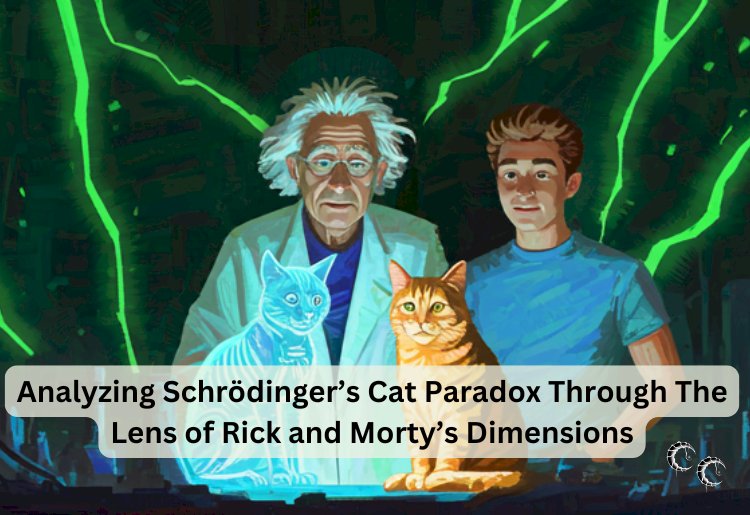 Analyzing Schrödinger’s Cat Paradox Through The Lens of Rick and Morty’s Dimensions